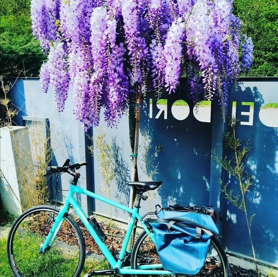 Bed & Breakfast Via Dei Dori B&B Mirano Italy
